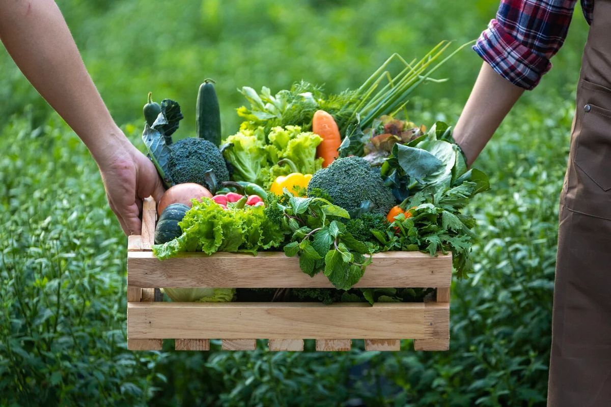 Produits Agricoles & Agroalimentaires